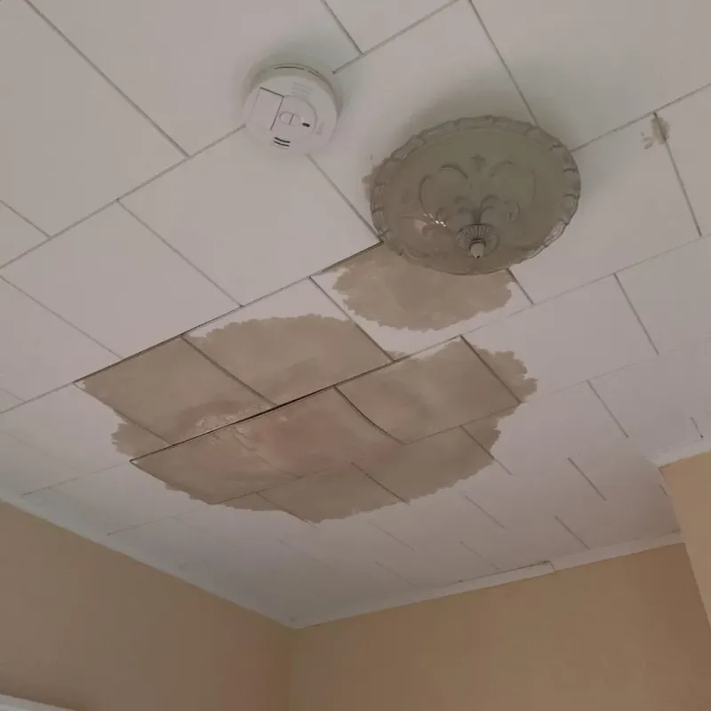 Ceiling Water Damage Repair in Westerleigh, NY