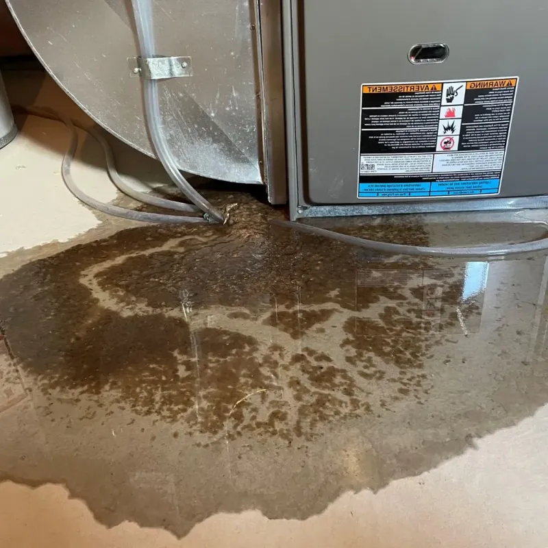 Pipe Burst and Leak Restoration in Westerleigh, NY